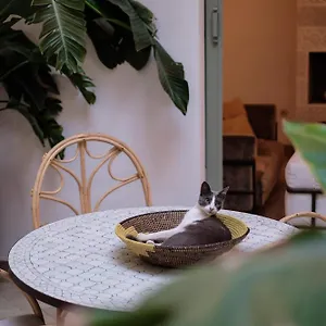 Riad Danka, Marrakesh